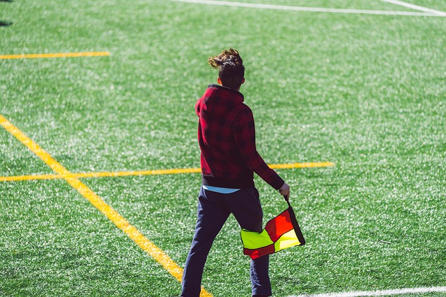 的步伐迈入 的步伐迈入