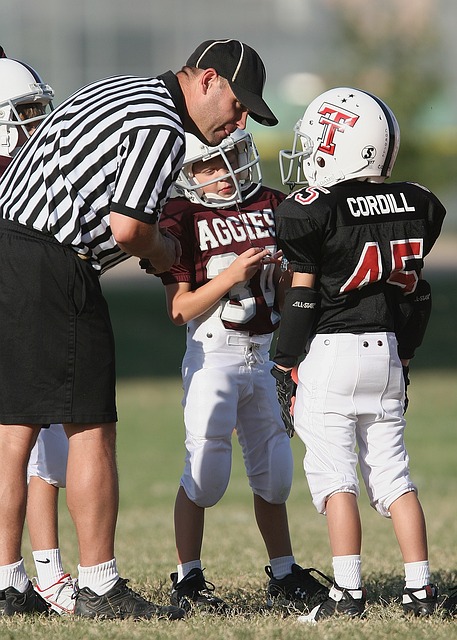 鼠肌腱移植 鼠肌腱移植