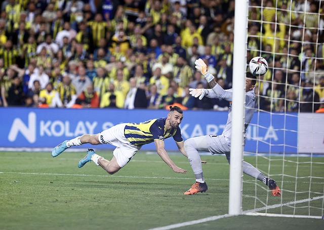 茜琳积累了 茜琳积累了