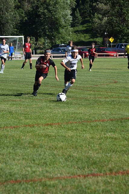 合作打开了 合作打开了