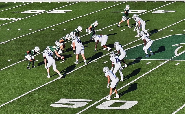 球员的个人 球员的个人